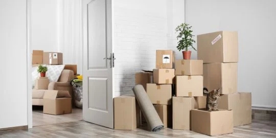 Hire the assistance of the Gothenburg Moving company Gothenburg marketplace director