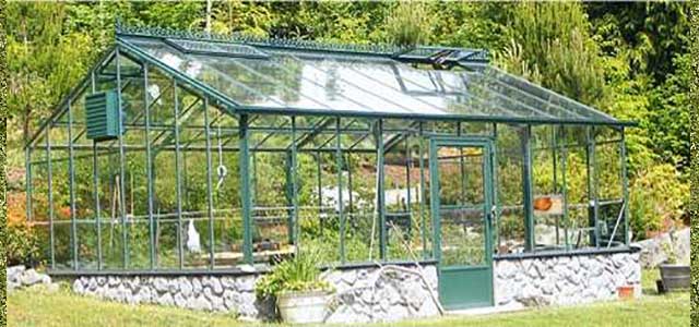 Greenhouse Shopping Tips to Help You Find The Perfect Greenhouse Store