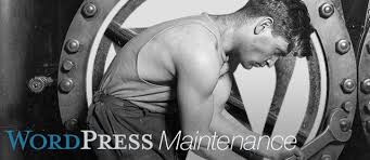 Know some great benefits of WordPress maintenance plans