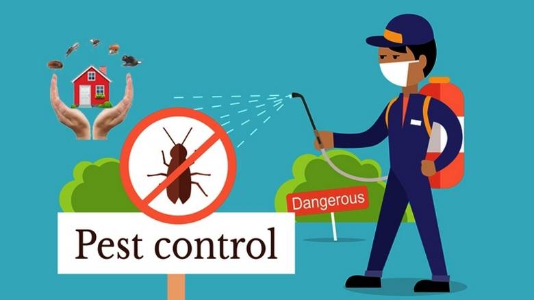 Get Rid of Unwanted Pests with 911 Exterminators in Grand Prairie