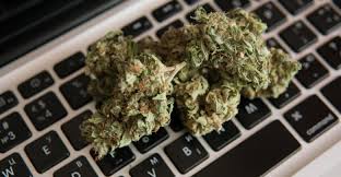 Receive the important information to buy cheap weed available for sale the very first time