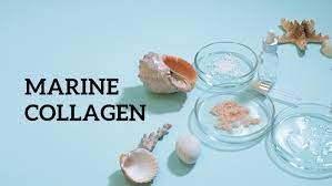 Boost Your Epidermis Moisture with Marine Collagen