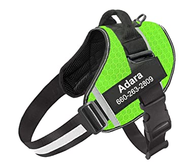 The Easiest Method To Use A No Pull Dog Harness: Step By Step Guideline