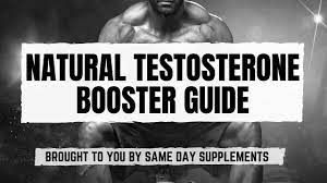 The Best Testosterone Boosters for Reduced Stress