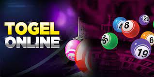 TOTO TOGEL: Your Go-To Site for Lottery, Slots, and Live Casino Games