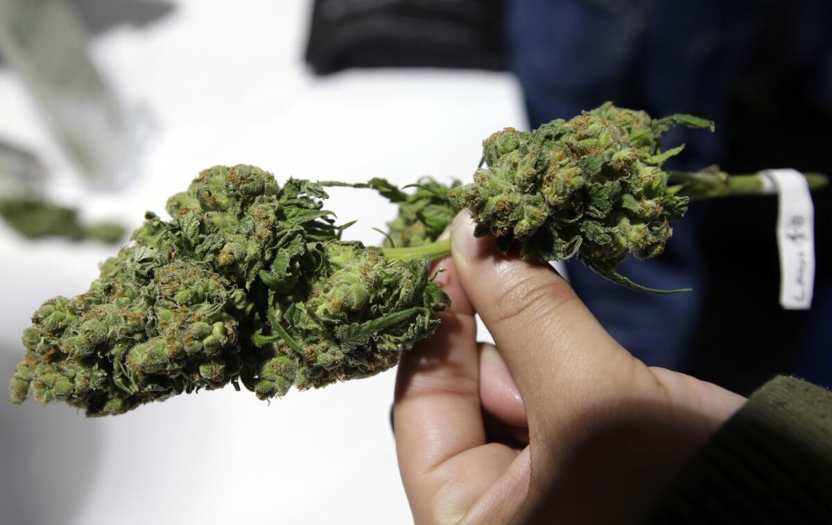 Trusted Sites to Buy Weed Online in Canada