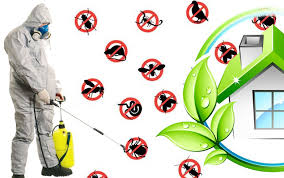 Why Choose Disinfections Athens for Complete Hygiene Control